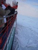 紋別の流氷