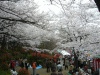 飛鳥山公園