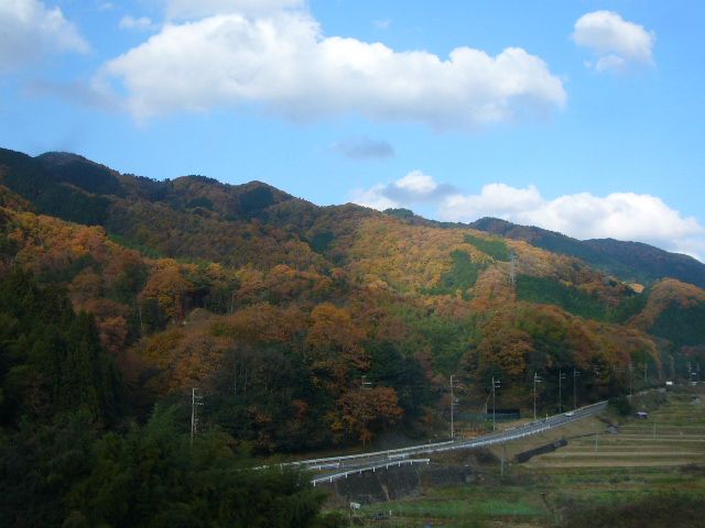 亀山