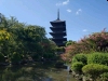 東寺・五重塔